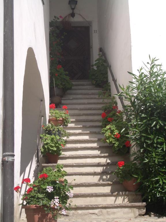 Residence St. Peter Tirolo Dış mekan fotoğraf